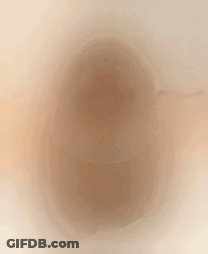 A Brown Dog Wearing A Polka Dot Collar Is Laying On A Blanket GIF
