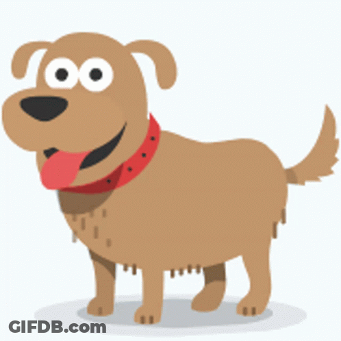 A Brown Dog Wearing A Red Collar Is Standing On A White Surface GIF
