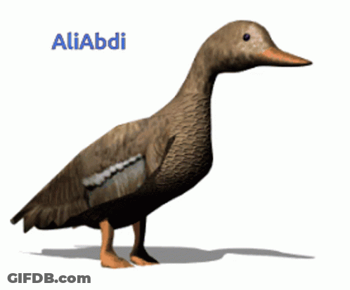 A Brown Duck With The Name Aliabdi On The Bottom GIF