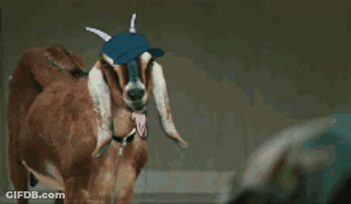 A Brown Goat Wearing A Blue Hat With Horns Sticking Its Tongue Out GIF