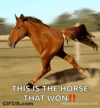 A Brown Horse Is Running In A Dirt Field With The Words This Is The Horse That Won . GIF
