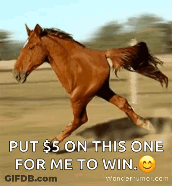 Brown Horse Running In Field Put 5 On This One GIF