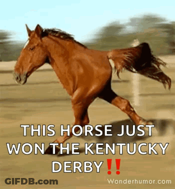 A Brown Horse Is Running On A Dirt Field With The Caption " This Horse Just Won The Kentucky Derby !! " GIF