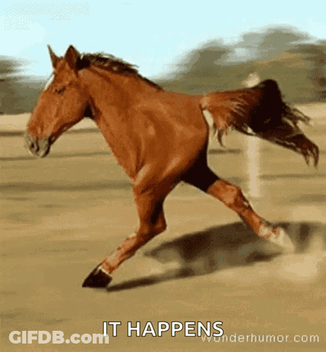 A Brown Horse Running In The Dirt With The Words " It Happens " Written Below It GIF