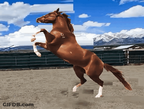 A Brown Horse Standing On Its Hind Legs In A Dirt Field GIF