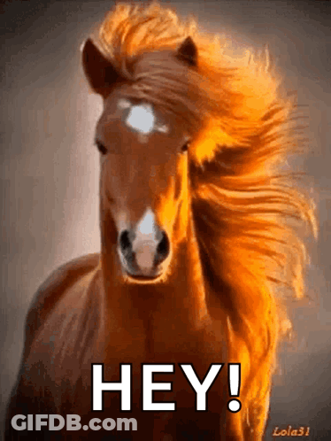 A Brown Horse With A Long Mane Is Running And Says Hey GIF