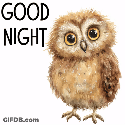 A Brown Owl With The Words Good Night Below It GIF
