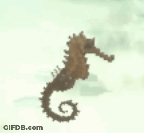 A Brown Seahorse With A Long Tail Is Swimming In The Water . GIF