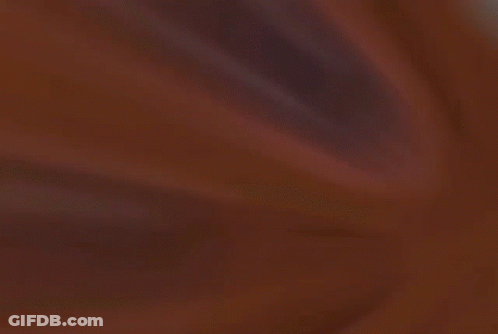 A Brown Stuffed Animal Is Swimming In The Water GIF