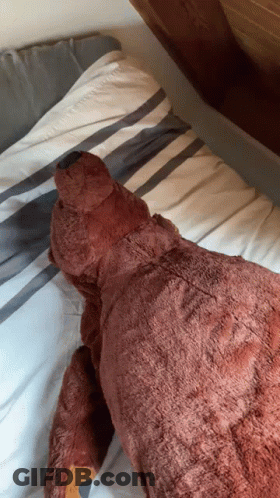 A Brown Teddy Bear Is Laying On A Bed With A Striped Comforter GIF