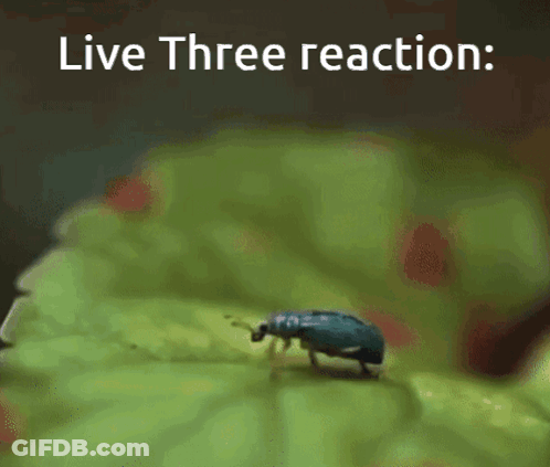 A Bug Is Crawling On A Green Leaf With The Words Live Three Reaction Below It GIF