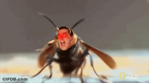 A Bug With A Man 'S Face On It GIF