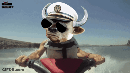 A Bull Wearing A Captain Hat And Sunglasses Is Riding A Jet Ski GIF
