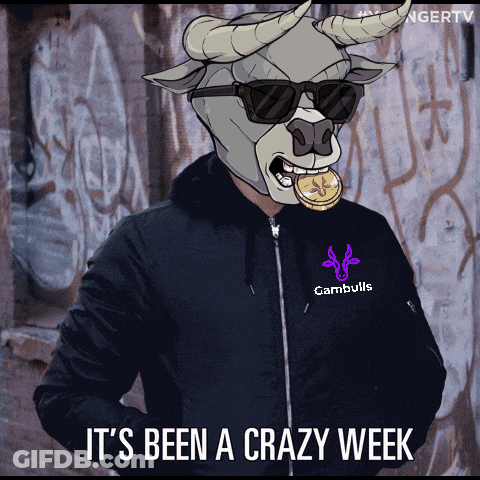 A Bull Wearing Sunglasses And A Cambulls Jacket GIF