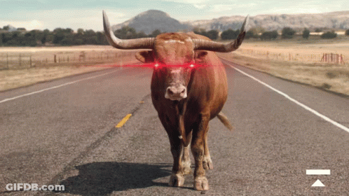 A Bull With Red Eyes Standing On A Road GIF