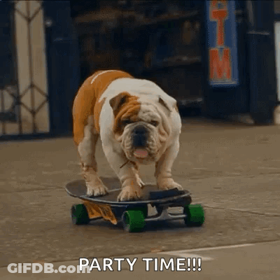 A Bulldog Is Riding A Skateboard On A Sidewalk With The Words Party Time Behind It GIF