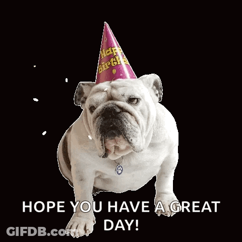 A Bulldog Wearing A Party Hat With The Words Hope You Have A Great Day Below It GIF