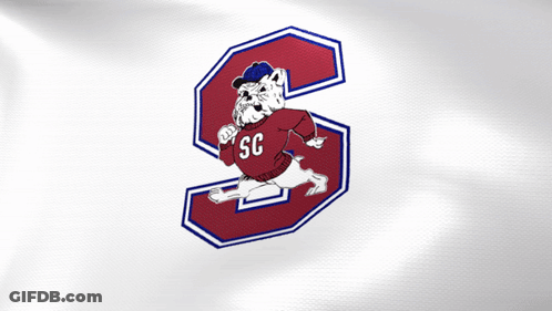 A Bulldog Wearing A Sweater That Says Sc GIF