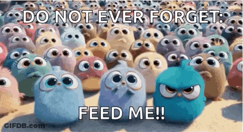 A Bunch Of Angry Birds With The Words `` Do Not Ever Forget Feed Me '' GIF
