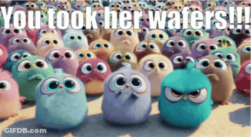 A Bunch Of Angry Birds With The Words " You Took Her Wafers " On The Bottom GIF