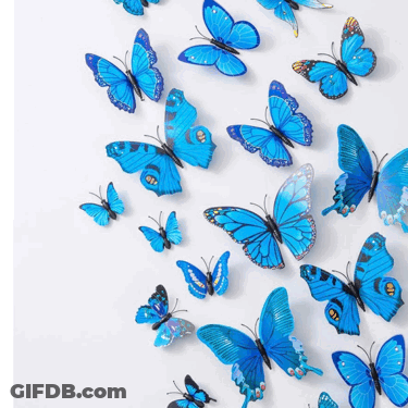 A Bunch Of Blue Butterflies Are On A White Background GIF
