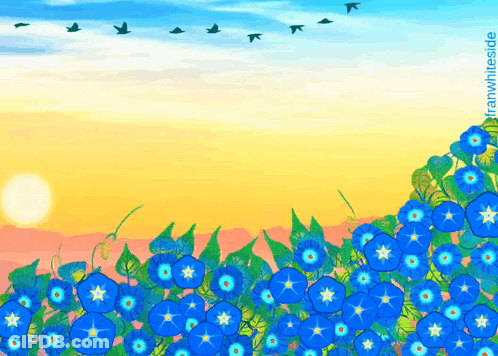A Bunch Of Blue Flowers Against A Sunset Sky GIF