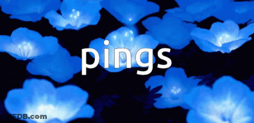 A Bunch Of Blue Flowers With The Word Pings In White Letters GIF