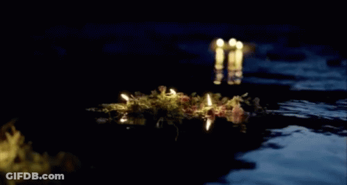 A Bunch Of Candles Floating In The Water At Night GIF