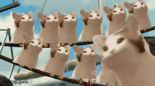 A Bunch Of Cats Are Standing On A Rope With The Word Veli On The Bottom Left GIF