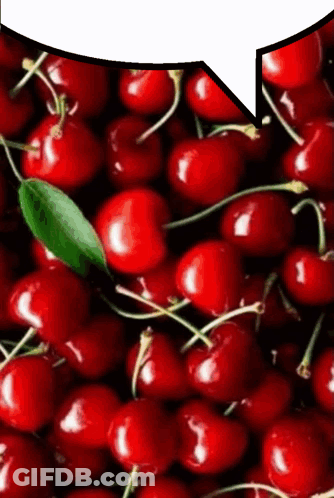 A Bunch Of Cherries With A Speech Bubble In The Background GIF