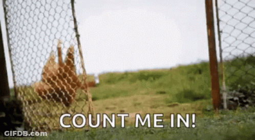 A Bunch Of Chickens Are Behind A Chain Link Fence With The Words Count Me In Written On It GIF