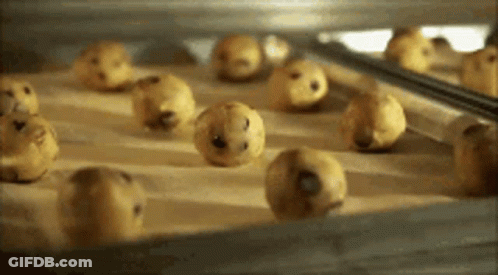 A Bunch Of Chocolate Chip Cookies Are Being Baked In An Oven GIF