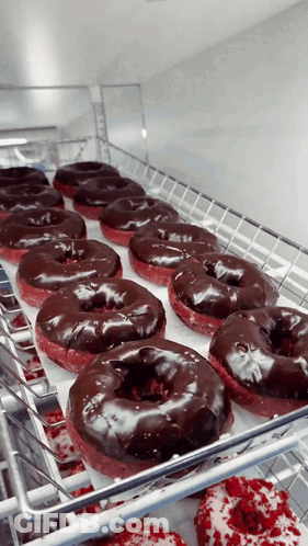 A Bunch Of Chocolate Covered Donuts Are Sitting On A Shelf GIF