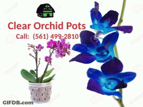 A Bunch Of Clear Plastic Cups With Purple Flowers On A White Background GIF
