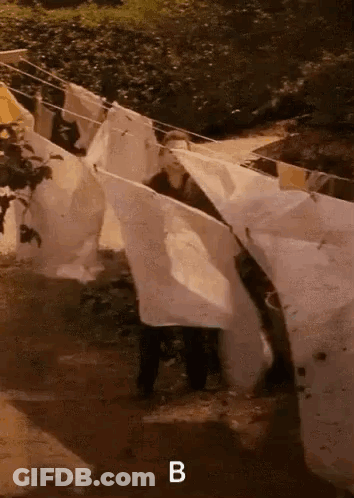 A Bunch Of Clothes Are Hanging On A Clothes Line And The Letter B Is Above Them GIF