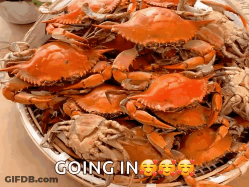 A Bunch Of Crabs In A Basket With The Words Going In GIF