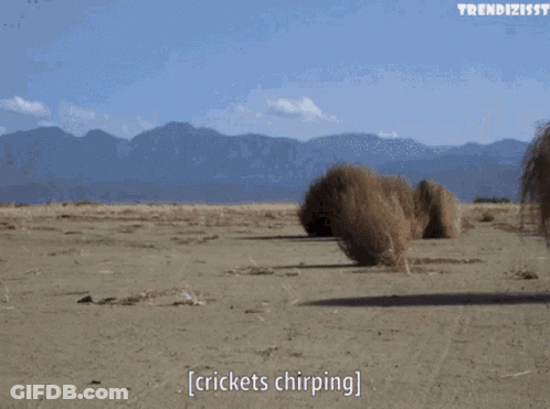 A Bunch Of Crickets Chirping In A Desert With Mountains In The Background GIF