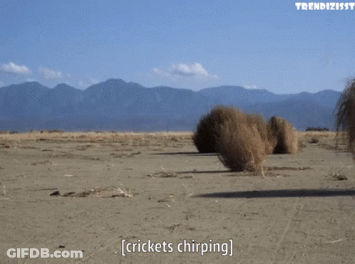 A Bunch Of Crickets Chirping In The Sand GIF