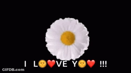 A Bunch Of Daisies Are Arranged In A Circle And The Words `` I Love You '' Are Written In The Middle . GIF