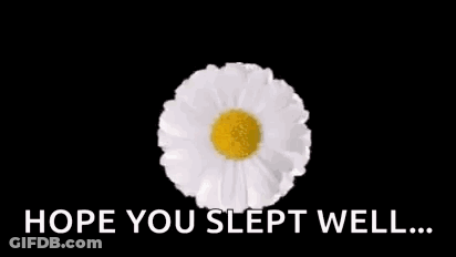 A Bunch Of Daisies Are Arranged In A Circle With The Words `` Hope You Slept Well '' . GIF