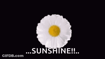 A Bunch Of Daisies Are Arranged In A Circle With The Words `` Sunshine '' Written On It . GIF