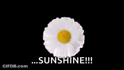 A Bunch Of Daisies Are Sitting In A Circle With The Words `` Sunshine '' Written In The Middle . GIF