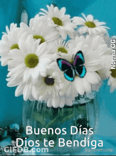 A Bunch Of Daisies In A Vase With The Words Buenos Dias Dios Te Bendiga Below Them GIF
