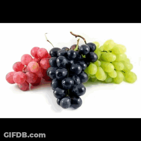 A Bunch Of Different Colored Grapes Are Sitting On A White Surface GIF