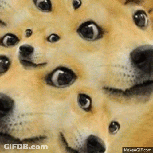 A Bunch Of Doge 'S Faces Are Looking At The Camera With Their Eyes Wide Open . GIF