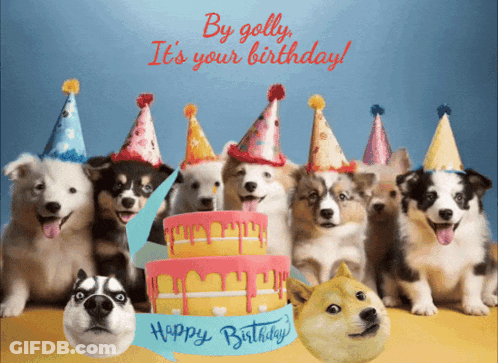 A Bunch Of Dogs Wearing Party Hats And A Birthday Cake GIF