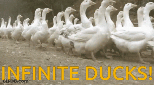 A Bunch Of Ducks Are Walking In A Line With The Words Infinite Ducks In Yellow GIF