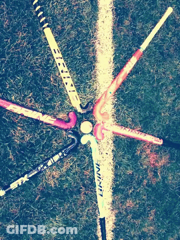 A Bunch Of Field Hockey Sticks Are Lined Up In A Circle With One That Says Equine On It GIF