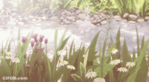 A Bunch Of Flowers Are Growing In The Grass Next To A River GIF