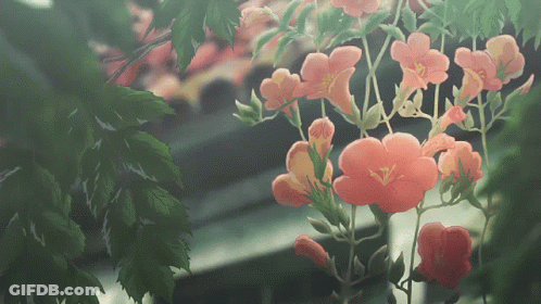 A Bunch Of Flowers Are Hanging From A Tree GIF